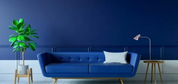 Личный музей: как выставить коллекции без визуального шума